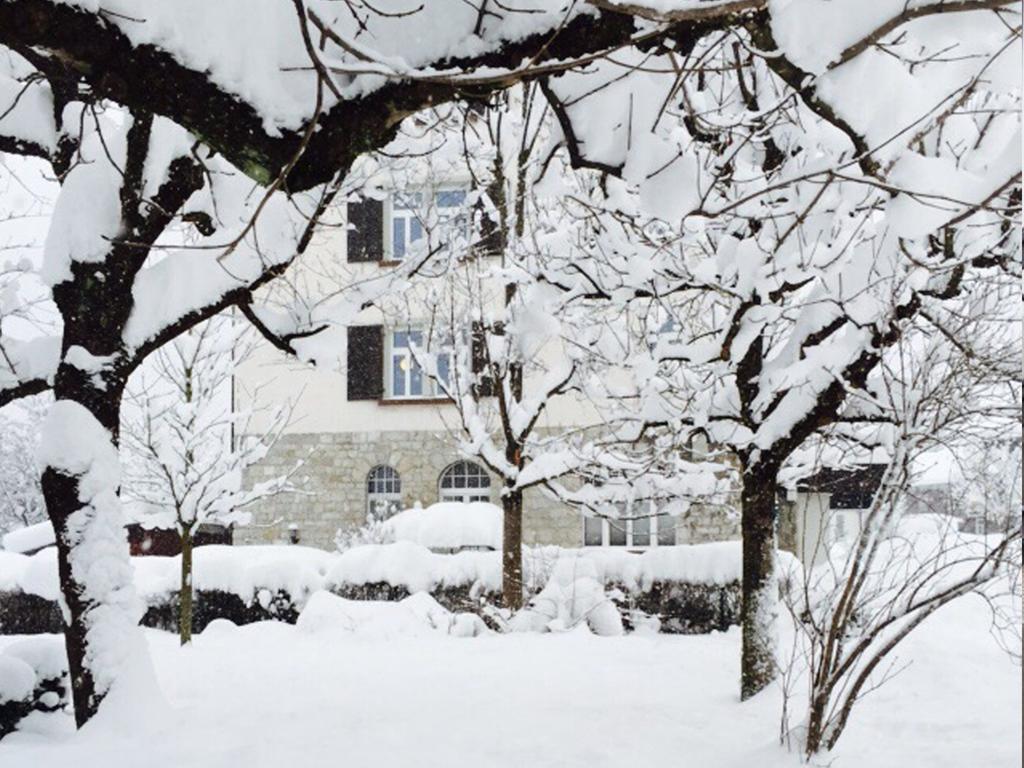 Boutique Apartments Bezau Dış mekan fotoğraf